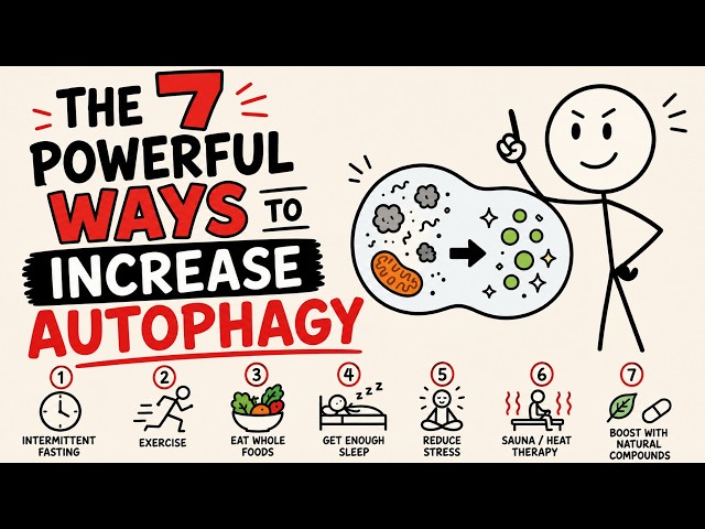 The 7 Powerful Ways to Increase Autophagy