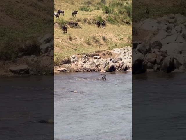 Путешествуем c Владимиром Волошиным TRAVEL video