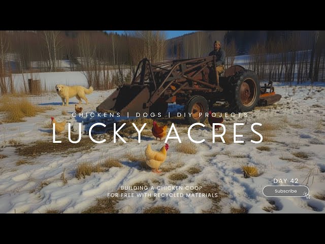 New Tractor for Lucky Acres! DIY Chicken Coop Upgrade before a Winter Storm (Day 42)