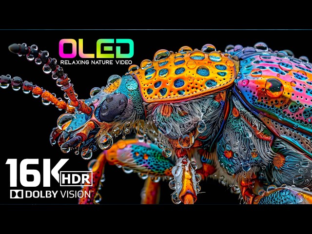 Beyond the Visible | OLED Display Test | 8K HDR Video | Dolby Vision 120 FPS | 4K/8K Video ULTRA HD