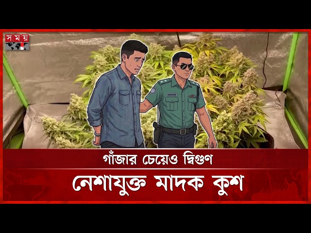 কলকাতা–ব্যাংকক–ঢাকা রুটে কুশের কারবার, জড়িত ত্রিদেশীয় চক্র | AIRPORT KUSH | Somoy TV