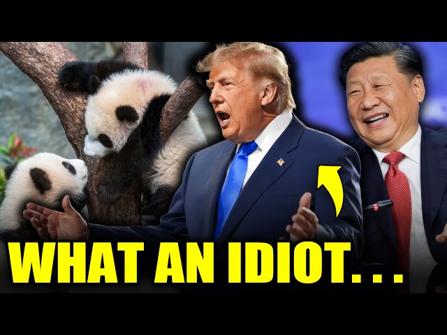 China Just PLAYED Trump And It's HILARIOUS