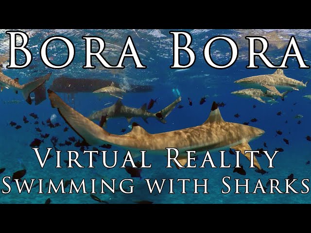 BORA BORA in VR -  Swimming with Sharks ~ Virtual Reality Experience in 5k 360º
