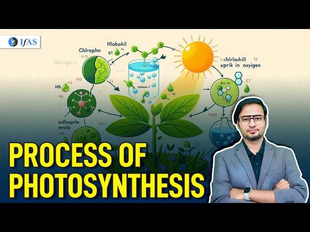 Process of Photosynthesis | Target CSIR NET Life Science June 2024 | IFAS