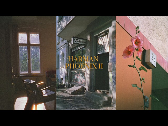 Harman Phoenix II x Minolta Riva 70W