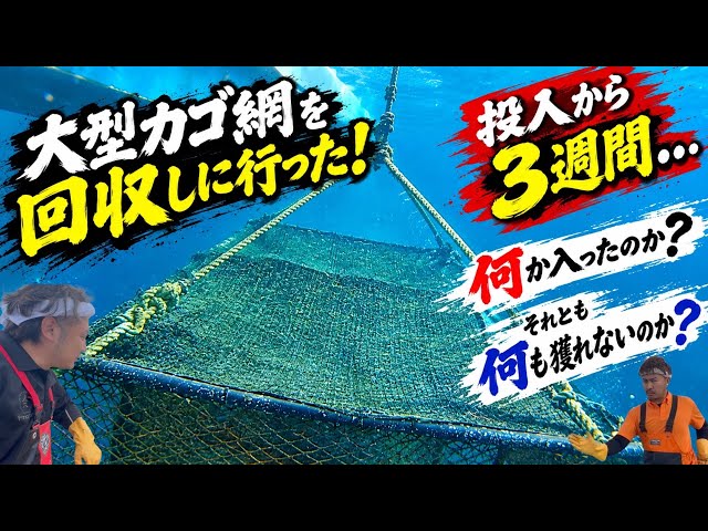 [A huge catch!? Or...] Time to retrieve the fishing nets!