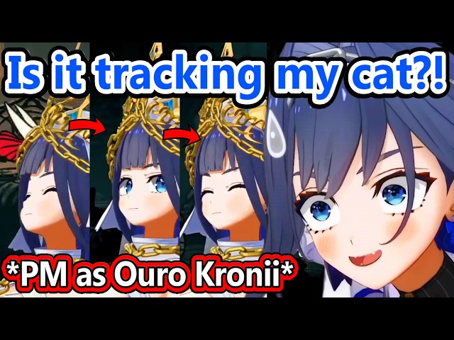 Kronii's Cat gets Tracked to her Model and Chat Loves it...