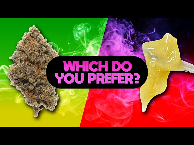 Concentrates vs Flower