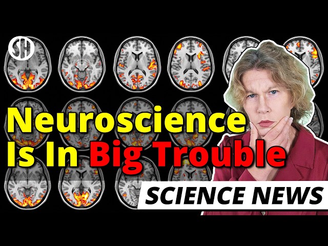 Neuroscience is in big trouble