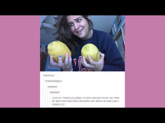 "TWO VOICE ACTORS!?" | Late Night Tumblr Posts