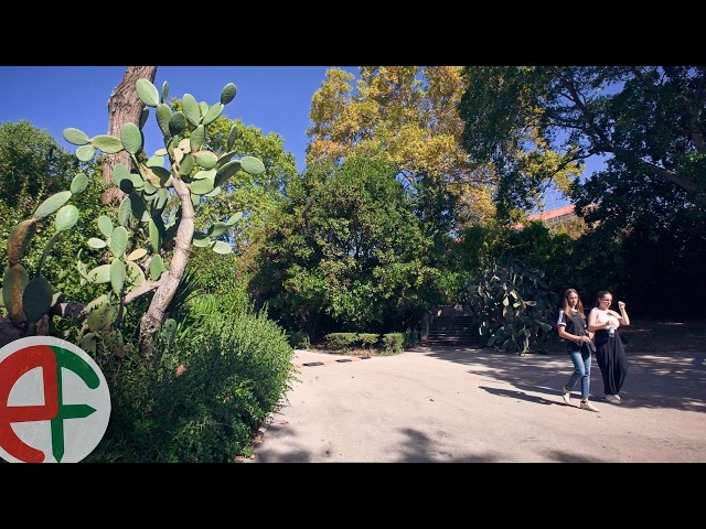 Lisbon Walk in the Park: Belém Tropical Botanical Garden