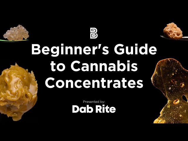 Beginner's Guide to Cannabis Concentrates | Presented by DabRite