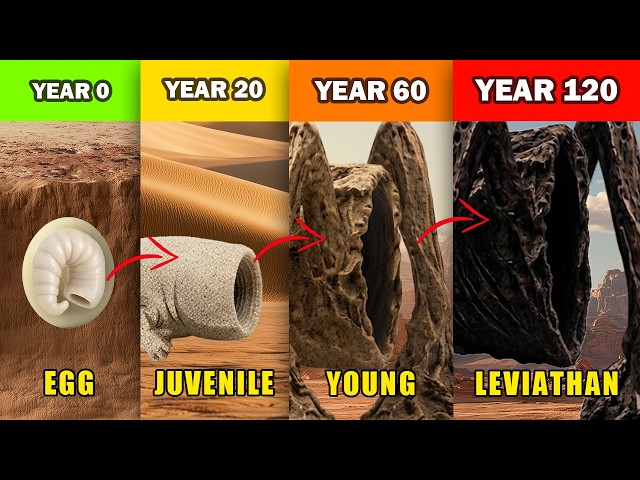 Sand Eater Life Growth Stages Explained