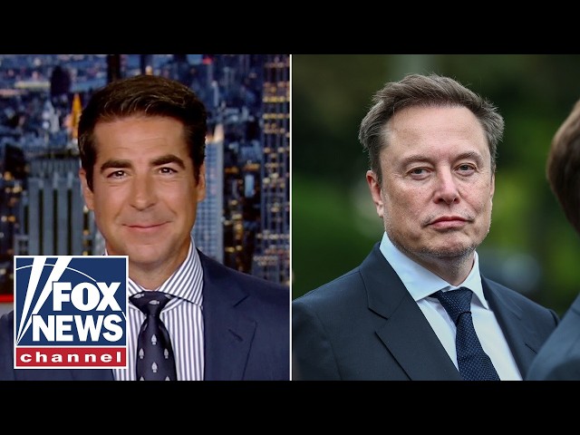 Watters: They REALLY can't stand Elon