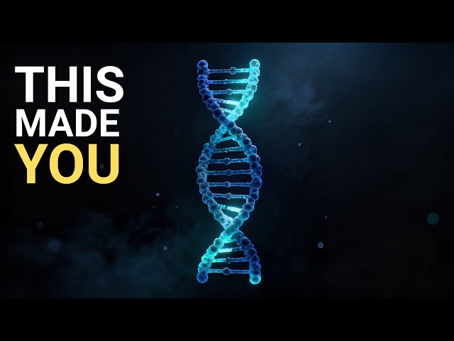 How Does DNA Know How to Build You?