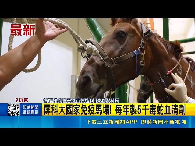 Antivenom production process revealed! National Pingtung University of Science and Technology hor...