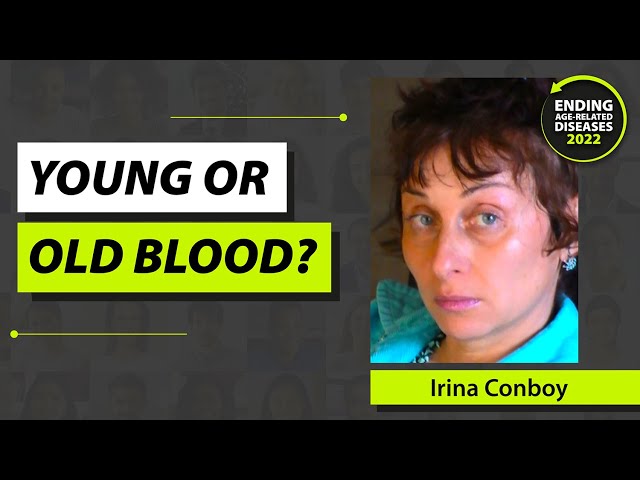Decoding the Aging Process: The Impact of Blood Dilution on Biological Age (Irina Conboy at EARD)