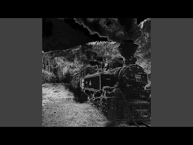 Rave Train