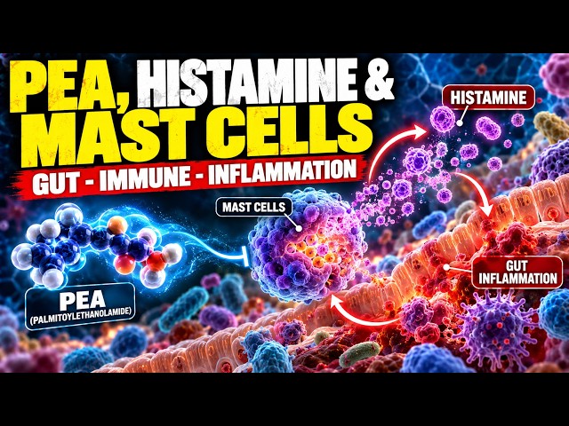 PEA, Histamine, Mast Cells and Gut Inflammation
