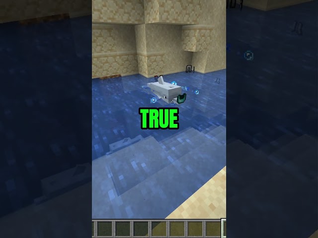 minecraft you  knew ?  #minecraft #minecraftshorts #gaming #bestminecraftclips #minecraftbuilding