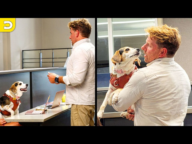 Dog Crashes College Lecture