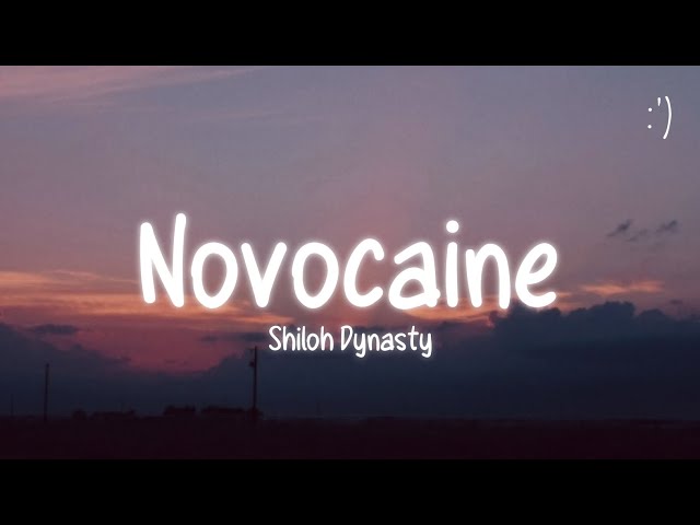 Shiloh Dynasty - Novocaine (Lyrics)