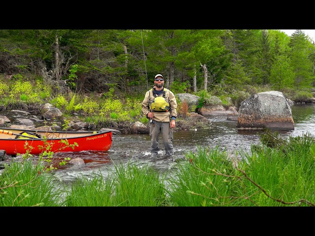 3 Days Solo Fishing & Camping in Atlantic Canada