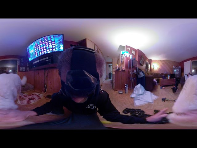 Playing with puppy