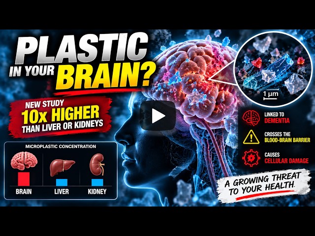 Microplastics Are Accumulating In Your Brain Right Now#brainhealth