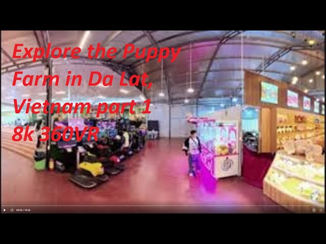 Explore the Puppy Farm in Da Lat, Vietnam part 1