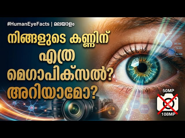 Is the Human Eye a 576 Megapixel Camera? | The 576 Megapixel Human Eye | voxvibez | Anjali Arav