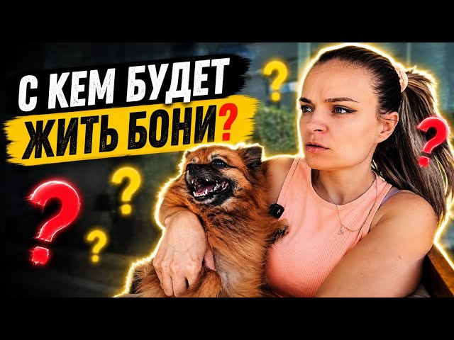 VLOG/ ⁉️Who will BONY live with? / 🥹Pride to Tears / 🤦‍♀️What a BAD Day / 09/03/2026