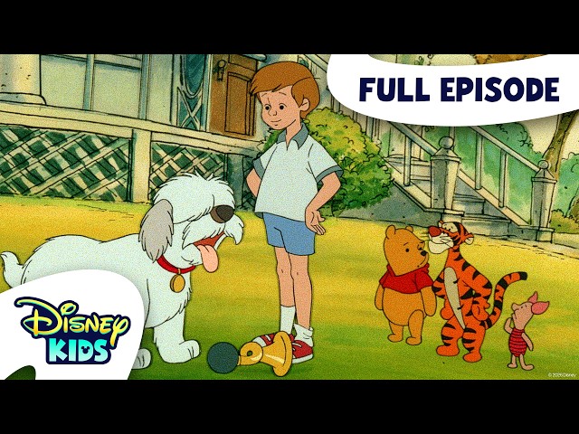 A Pooh Day Afternoon | The New Adventures of Winnie the Pooh S4 E3 | @disneykids