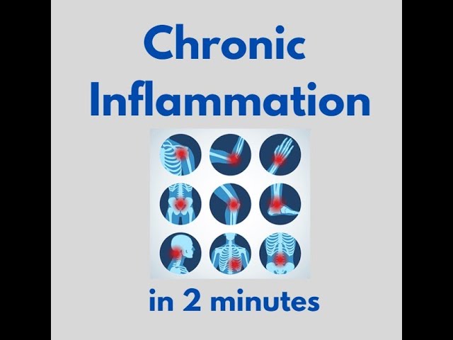 Chronic Inflammation in 2 mins!