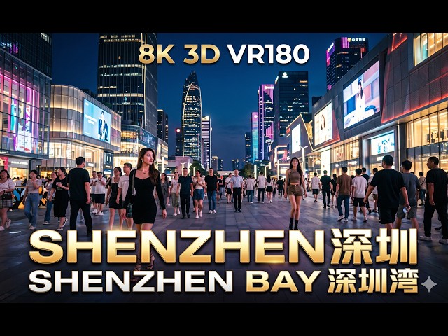 8K3D VR180 | Night in Shenzhen Bay: Sea Breeze & Neon | 深圳湾之夜：海风与霓虹
