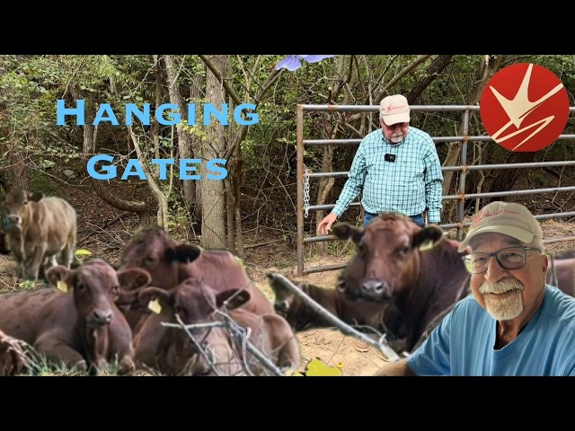 Feeding cubes and hanging gates