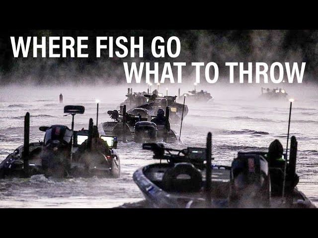 Secrets To Bass Fishing After A COLD FRONT