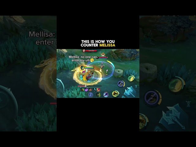 old Zilong diff💀