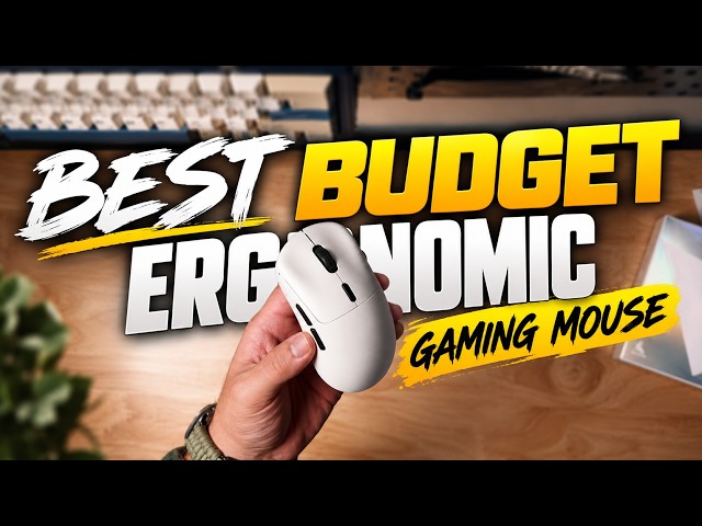Best Budget Ergonomic Mouse?! Rapoo VT3 Max Gen 2!