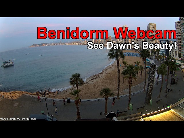 BENIDORM LIVE WEBCAM 🇪🇸 🔴 Benidorm Resort: Levante Beach LIVE NOW! ☀️🌊