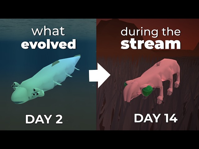 Streaming my evolution sim for 14 days (with a moving continent)! This is what evolved