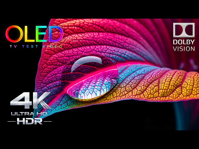 Do NOT Test Your OLED TV With This! ⚠️ | 4K HDR 240FPS Dolby Vision Ultra HD