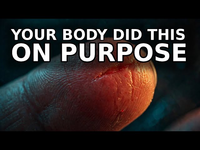Intro to the immune system