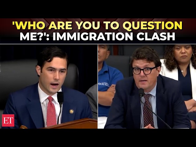 'What's your BEEF?': Rep Gill unloads on witness in fiery clash over benefits for illegal immigrants