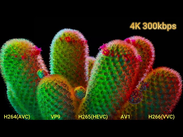 H264(AVC) vs H265(HEVC) vs H266(VVC) vs VP9 vs AV1 at 300kbps 4K Video Coding Comparison