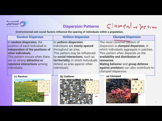 Population Ecology - Biology - Scientific Track NSMO