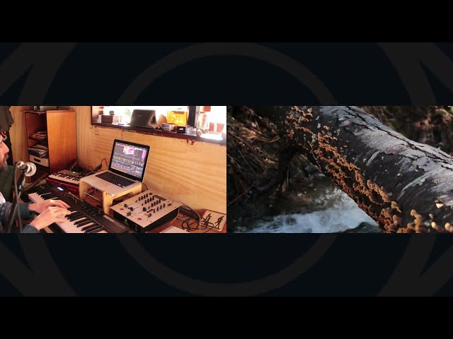 Morning Jam  downtempo - live set