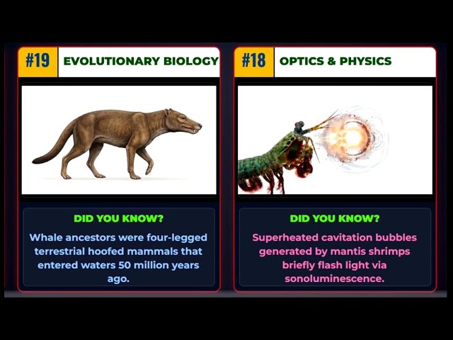 (PART 02) 50 Fun Facts Countdown: Science, History & Nature