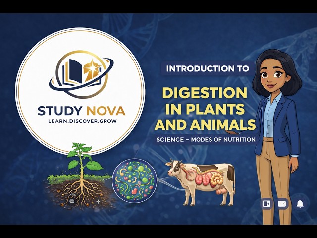 Digestion In Plants And Animals