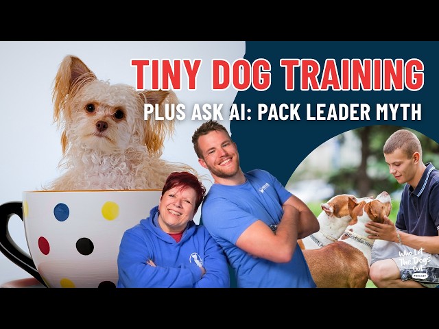 Essential Commands for Tiny Dogs and  Heartworm Dog Training Tips